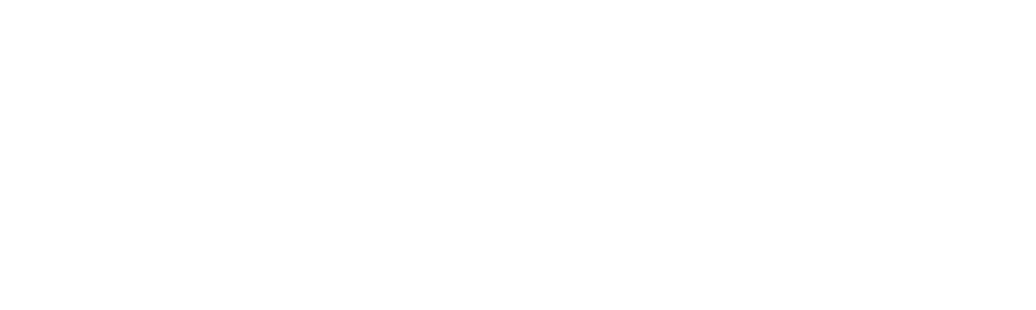 BSSM Español