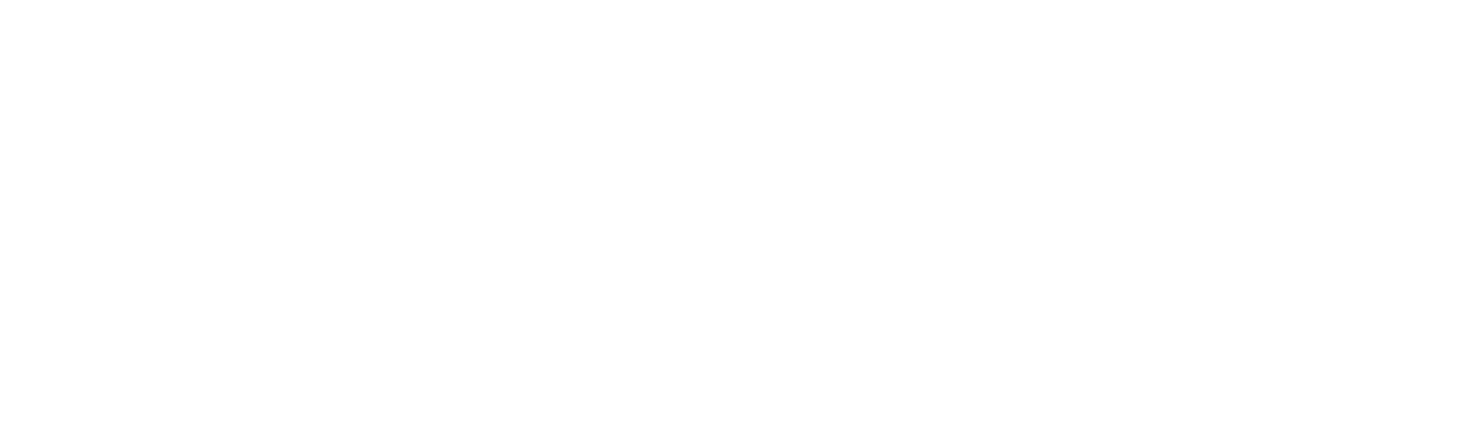 BSSM Português